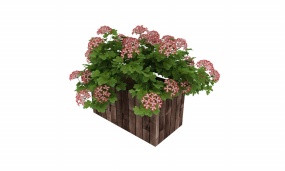 户外花盆3d模型